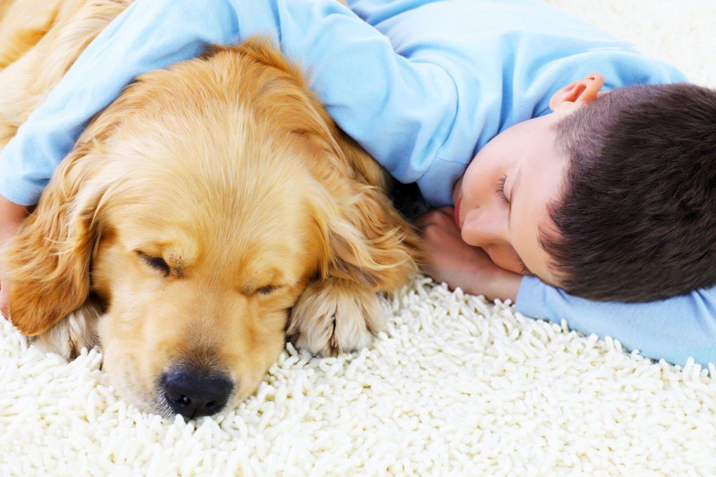 A young boy and his dog sleeping on a clean carpeting to help illustrate health benefits of a central vacuum systems